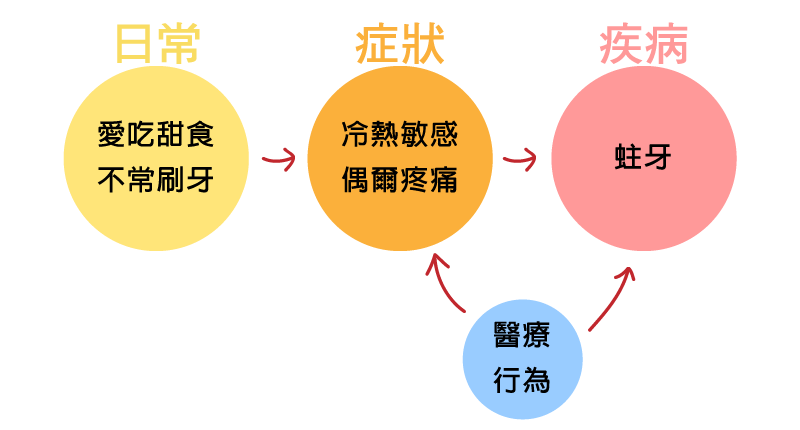 人為什麼會蛀牙？（脊椎強背術的比喻)