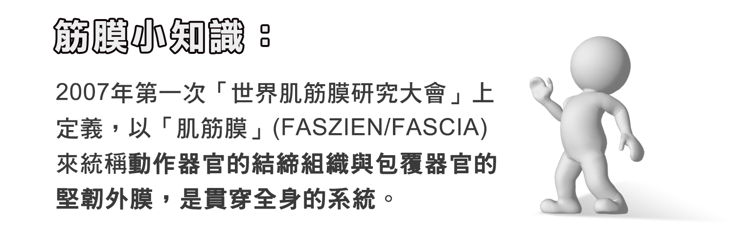 筋膜小知識：2007年第一次「世界肌筋膜 研究大會」上定義，以「肌筋膜」(Faszien/Fascia)來統稱動作器官的結締組織與包覆器官的堅韌外膜，是貫穿全身的系統。