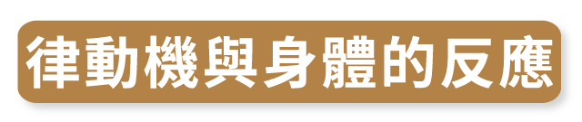 垂直律動機 RB2_律動機與身體的反應