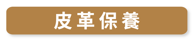 垂直律動機 RB2_皮革保養