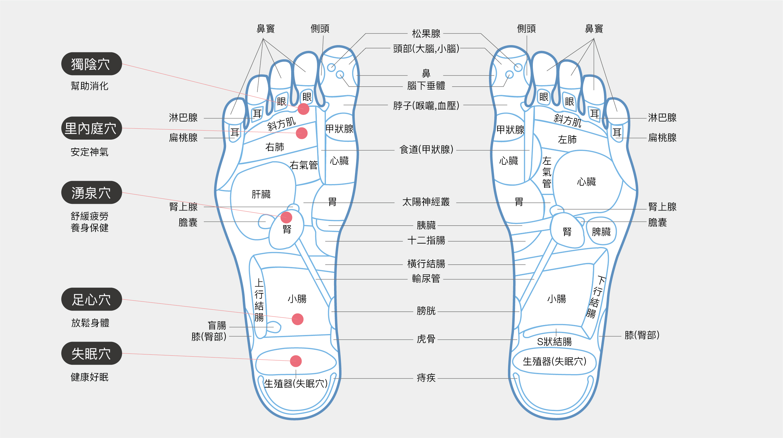 bgreen_運動家具_uFit全身拍打垂直律動機 RS2_脊椎保健達人鄭雲龍嚴選！陳美鳳推薦！